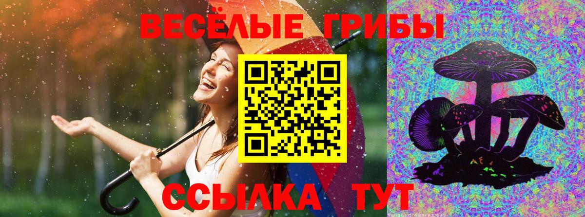 Галлюциногенные грибы ЛСД  цена   Псилоцибиновые грибы Psilocybe  Крымск  Вход с VPN 